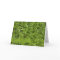 Green Grass Thank You