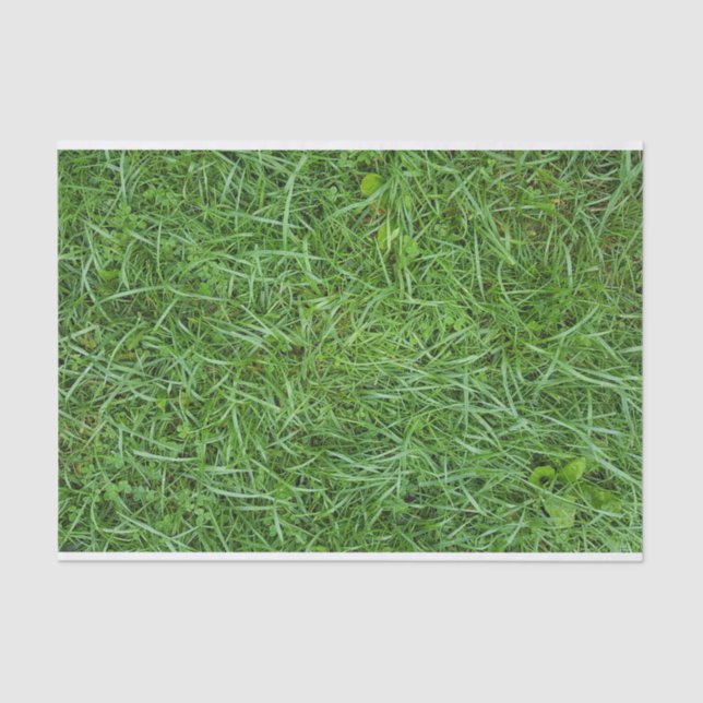Green Grass Tissue Paper (Front)