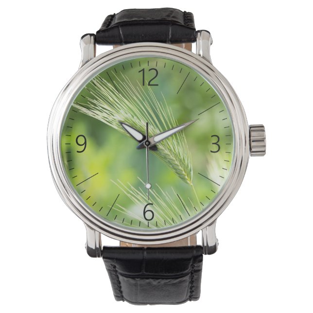 Green grass watch (Front)