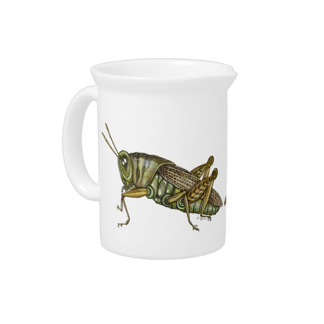 Green Grasshopper Beverage Pitcher (Left)