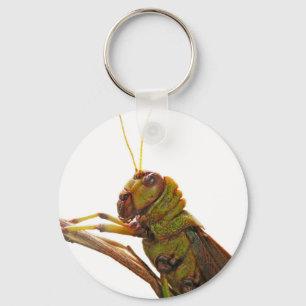 Green Grasshopper close up details Keychain