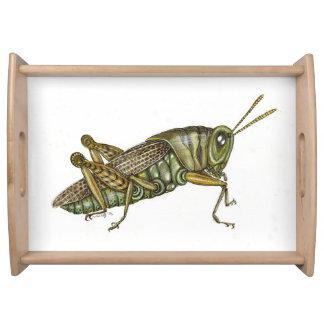 Green grasshopper cloth placemat serving tray