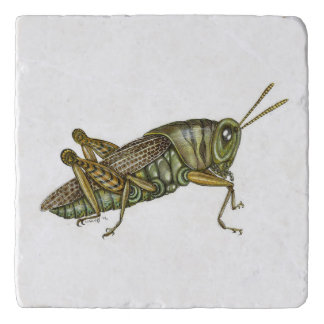 Green grasshopper cloth placemat trivet