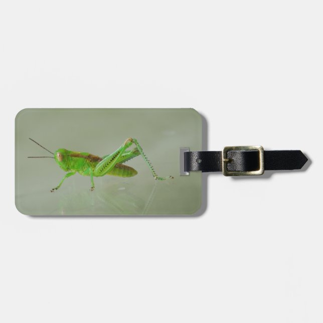 Green Grasshopper Luggage Tag (Front Horizontal)