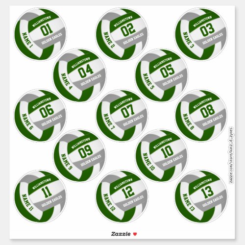 green gray volleyball team colors players names sticker