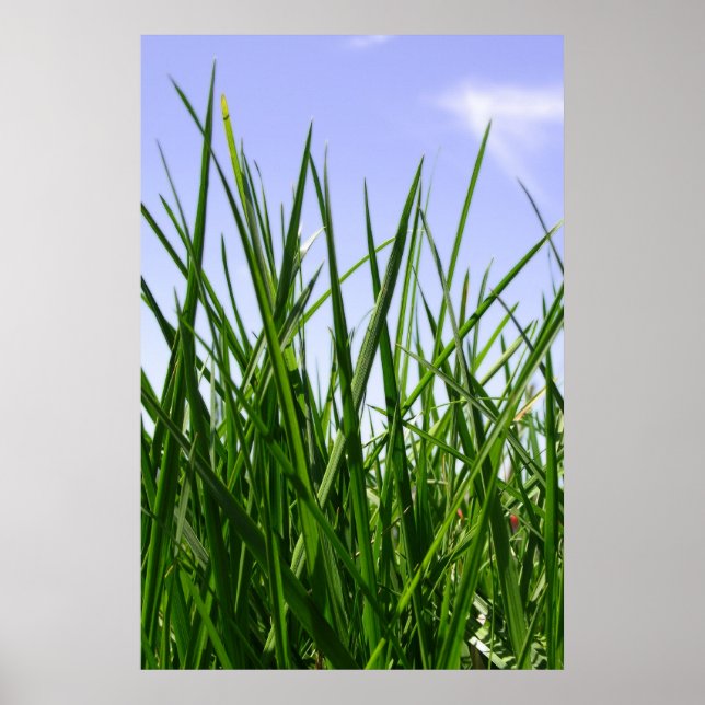 Green Green Grass Of Home print (Front)