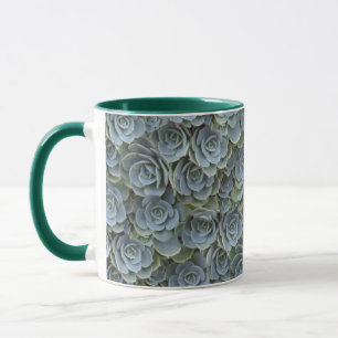 GREEN GREY SUCCULENT PLANT ROSETTES MUG