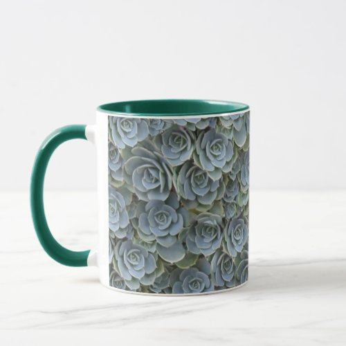 GREEN GREY SUCCULENT PLANT ROSETTES MUG