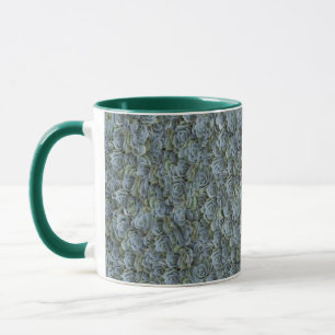 GREEN GREY SUCCULENT PLANT ROSETTES MUG