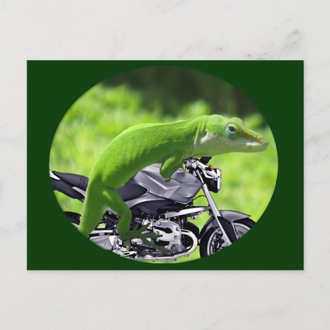 Green Hawaiian Gecko Rider Postcard (Front)