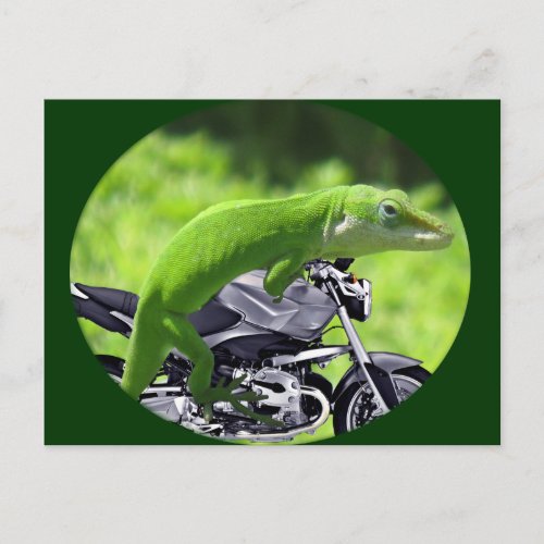 Green Hawaiian Gecko Rider Postcard