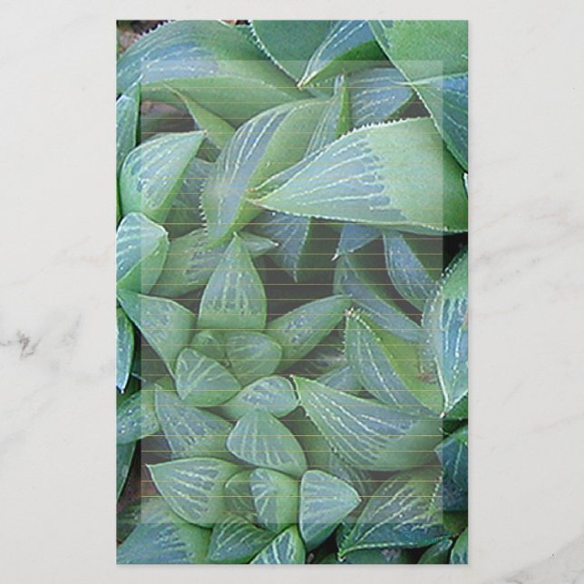 Green Haworthia Plants Lined Stationery (Front)