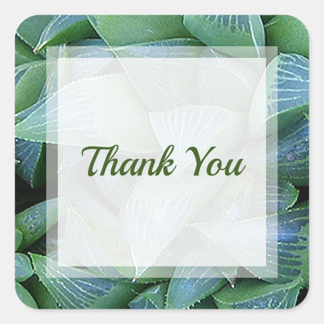 Green Haworthia Succulent Plant Thank You Sticker (Front)