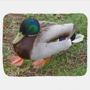 Green Head Duck Baby Blanket