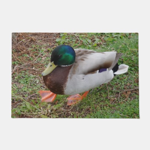 Green Head Duck Door Mat