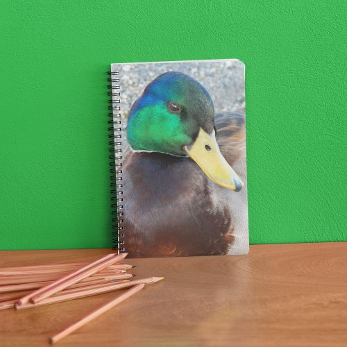 Green Headed Male Mallard Duck Notebook