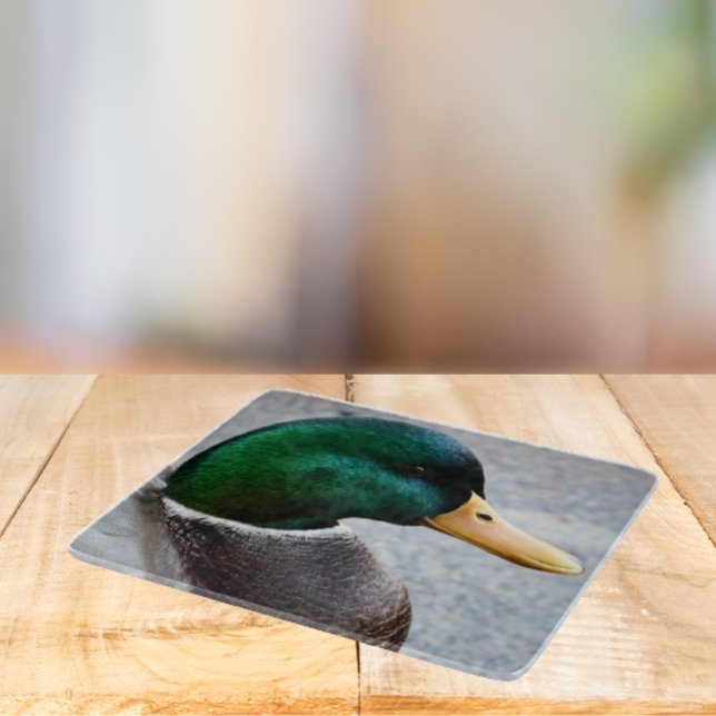 Green Headed Mallard Drake Photo Cutting Board (In Situ)