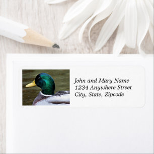 Green Headed Mallard Duck Address Label