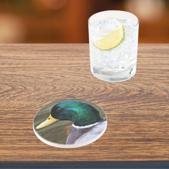 Green Headed Mallard Duck Coaster (In Situ)