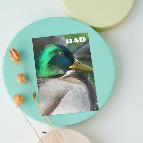 Green Headed Mallard Duck Fathers Day Card