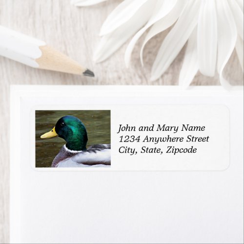 Green Headed Mallard Duck Return Address Label