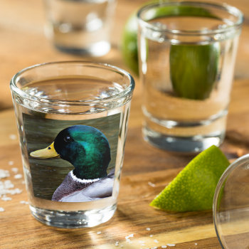 Green Headed Mallard Duck Shot Glass by northwestphotos at Zazzle