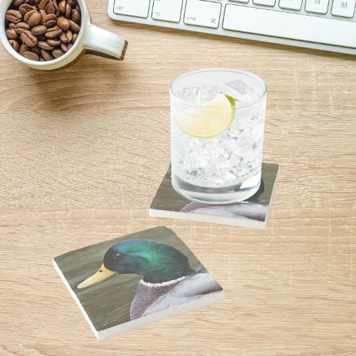 Green Headed Mallard Duck Stone Coaster