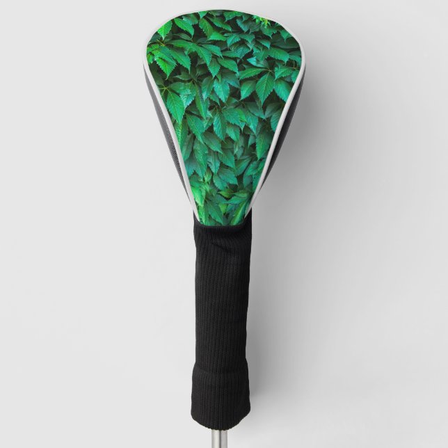 green hedge background parthenocissus pattern text golf head cover (Front)