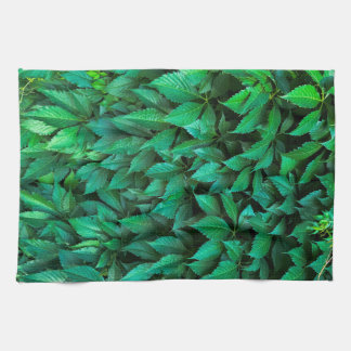green hedge background parthenocissus pattern text kitchen towel