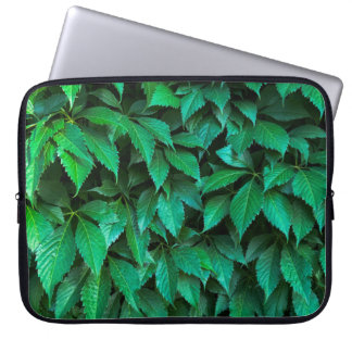 green hedge background parthenocissus pattern text laptop sleeve