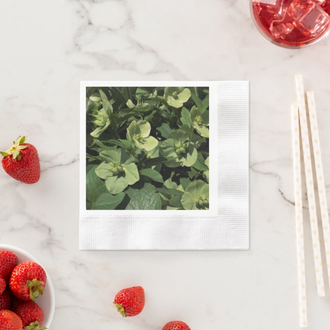 Green Hellebore Napkins (Insitu)