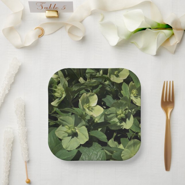 Green Hellebore Paper Plates (Wedding)