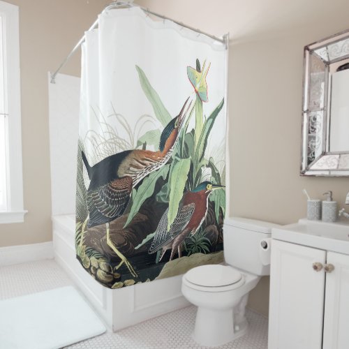 Green Heron Birds Audubon Wildlife Shower Curtain