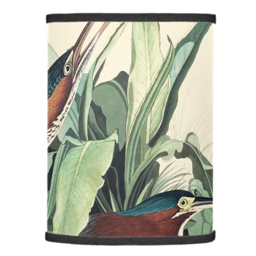 Green Heron Birds Wildlife Animals Table Lamp