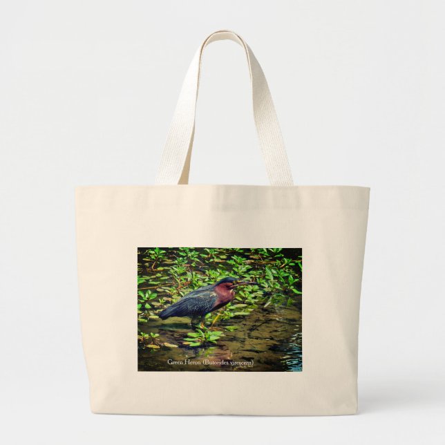 Green Heron (Butorides virescens) Large Tote Bag (Front)
