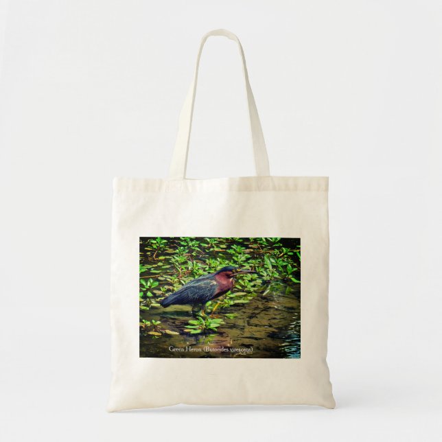 Green Heron (Butorides virescens) Tote Bag (Front)