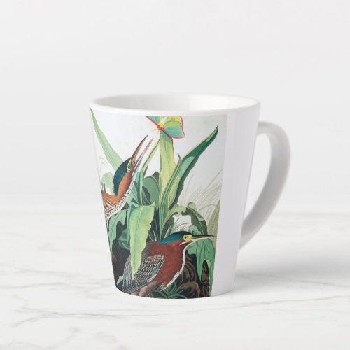 Green Heron by John James Audubon Latte Mug
