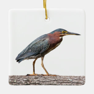 Green Heron Ceramic Ornament