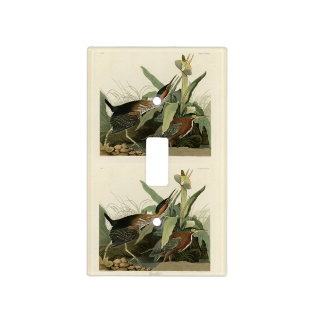 Green Heron, John James Audubon's Birds of America Light Switch Cover (Front)
