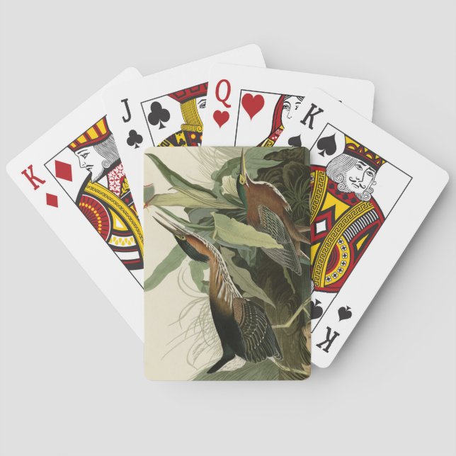 Green Heron, John James Audubon's Birds of America Poker Cards (Back)