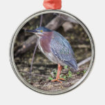 Green Heron Metal Ornament at Zazzle