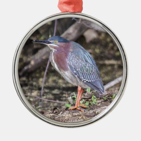 Green Heron Metal Ornament