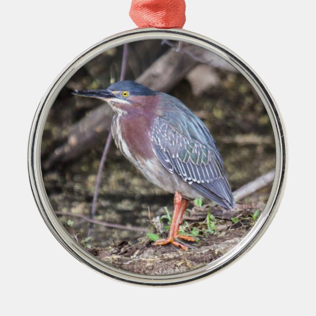 Green Heron Metal Ornament (Front)