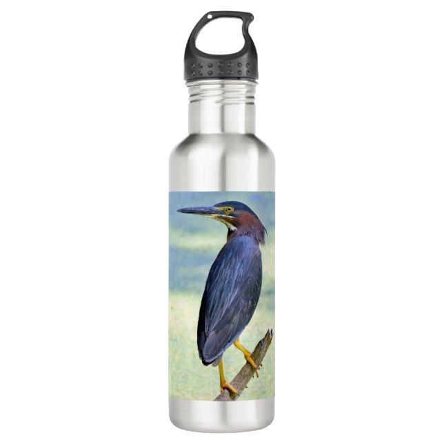 Green Heron Stainless Steel Water Bottle (Front)