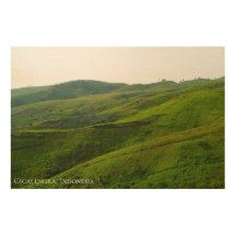 Green Hill Landscape Nature Scenery Photography