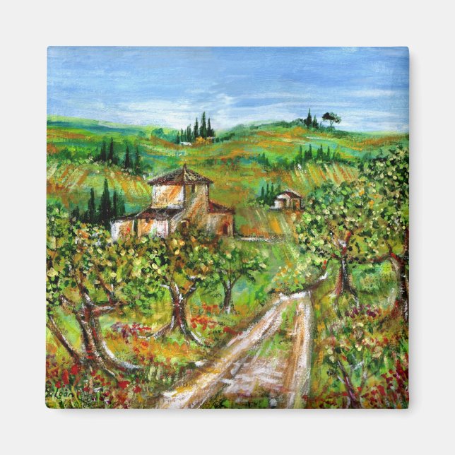 GREEN HILLS AND OLIVE TREES IN TUSCANY LANDSCAPE MAGNET (Front)