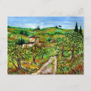 GREEN HILLS AND OLIVE TREES IN TUSCANY LANDSCAPE POSTCARD
