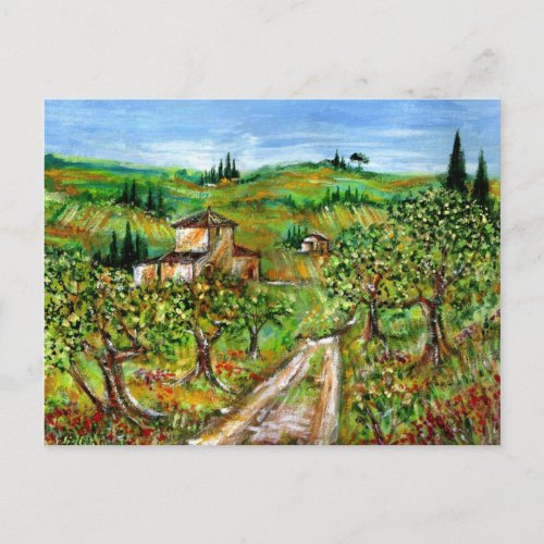 GREEN HILLS AND OLIVE TREES IN TUSCANY LANDSCAPE POSTCARD