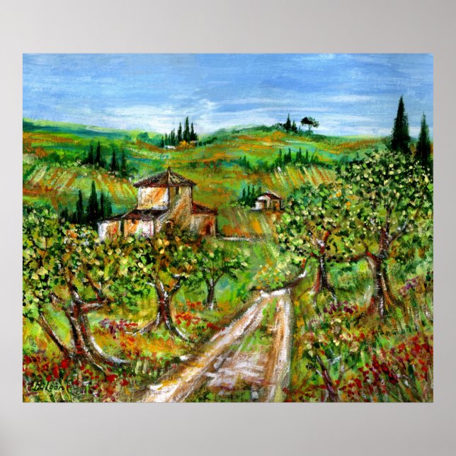 Green Hills And Olive trees Tuscany Landscape Poster (Front)