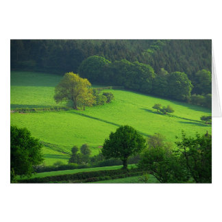 Green Hils Cards